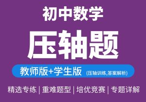 初中数学同步压轴题重难点训练突破-匠工文化设计接单平台